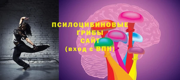 PSILOCYBIN Алексин