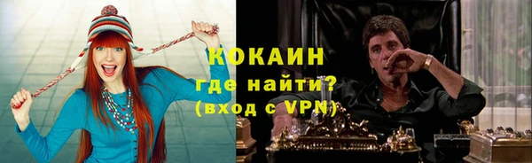 спайс Арсеньев