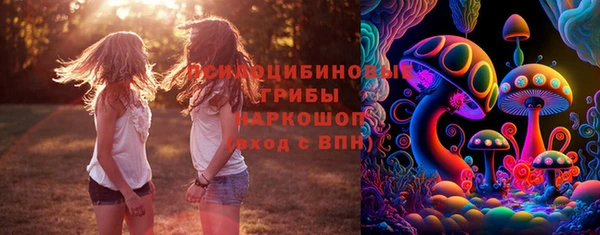 спайс Арсеньев