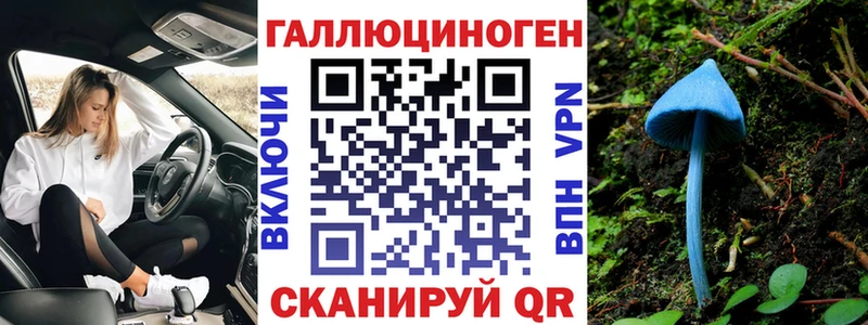 Галлюциногенные грибы Psilocybe  купить   Шадринск 