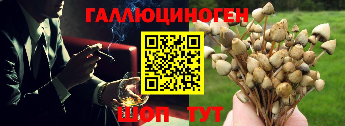 Псилоцибиновые грибы прущие грибы Шадринск