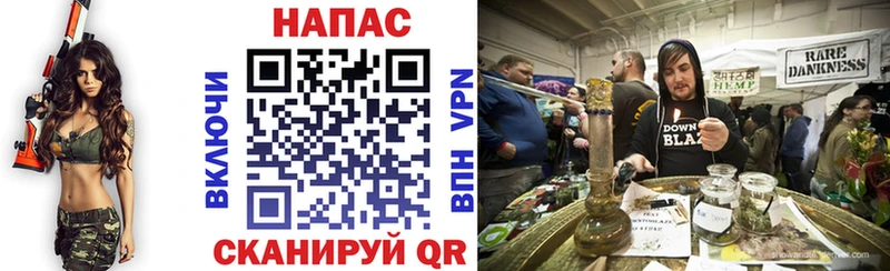 мега как зайти  это Telegram  Бошки марихуана Amnesia  Шадринск 